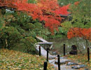 庭園